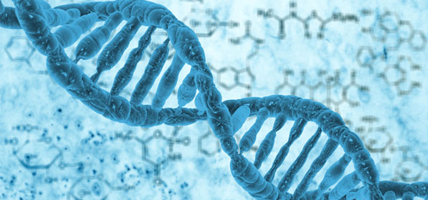 Antisense Oligonucleotide Therapy