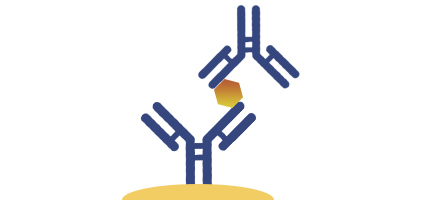 ELISA Kits for Lab Research