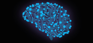 Immortal Brain - Blue Brain Technology