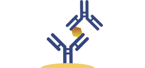 ELISA Kits for Lab Research