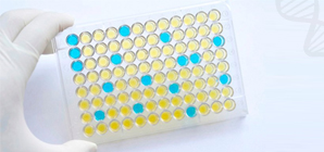 Rat ELISA Kits - High Sensitivity