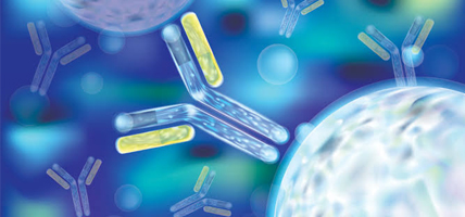 Antibodies Supplier in Delhi India