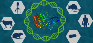 Recombinant proteins