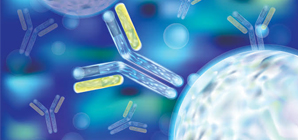 Antibodies Supplier in Delhi India